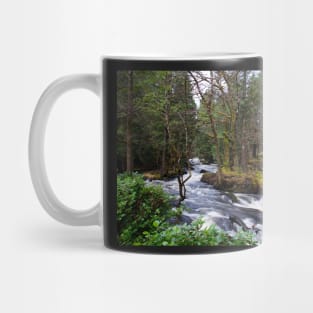 Aros Park, Tobermory Mug